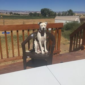 Meet your Posher, William